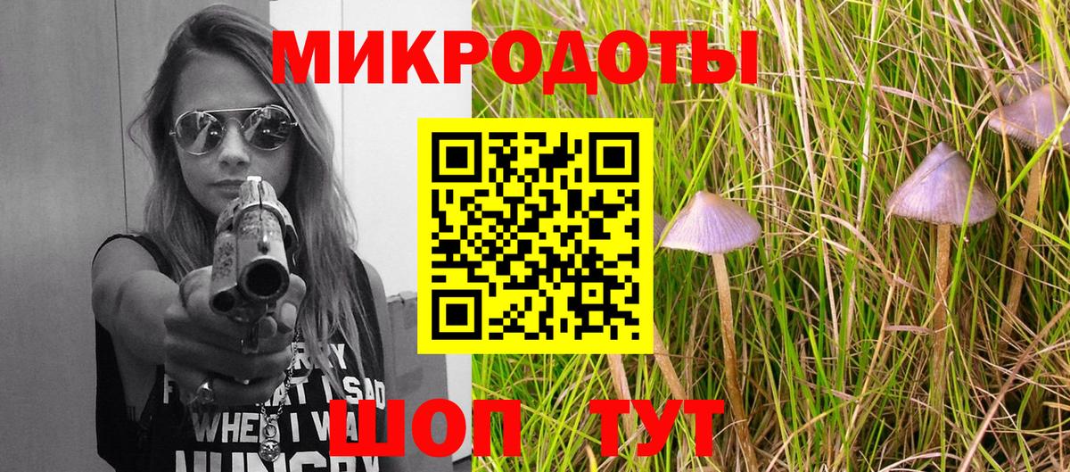 Камень-на-Оби  Галлюциногенные грибы Psilocybe  Вход с VPN  Галлюциногенные грибы мицелий 